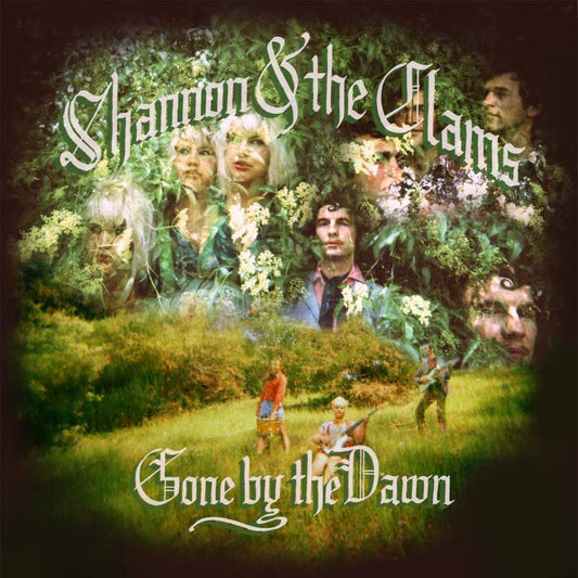Arcade Sound - Shannon & The Clams - Gone by the Dawn - CD front cover